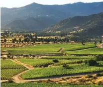  ??  ?? « Los Vascos ». Au Chili, le domaine Barons de Rothschild est l’un des plus grands vignobles (640 hectares) de la vallée centrale de Colchagua, au pied du Mont Cañeten.