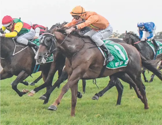  ?? Picture: COURIER-MAIL/TRACKSIDE PHOTOGRAPH­Y ?? Tyzone wins the Listed Goldmarket over 1200m at the Gold Coast at his latest start.