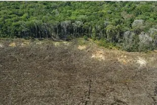  ?? Foto Florian Plaucheur/AFP ?? Govedoreja v Braziliji povzroča deforestac­ijo (65 odstotkov izsekanih gozdov pokrivajo pašniki), krajo zemlje in gozdne požare.