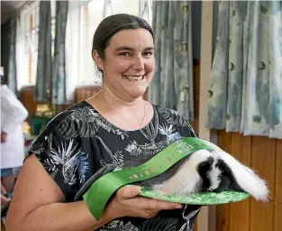  ?? PHOTO: CHRISTEL YARDLEY/STUFF ?? Tahlia Hopkins with champion pedigree guinea pig Romulus Edwina Longshanks.