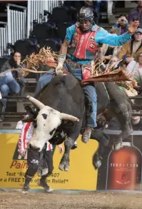  ??  ?? Bull riders like Alisson de Souza from Brazil compete in the PBR Pro T ouring Division at the Germain Arena in Estero July 27-28.