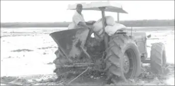  ??  ?? FLASHBACK: A local rice farmer ploughs his field in Central Trinidad. —Photo: KRISHNA MAHARAJ