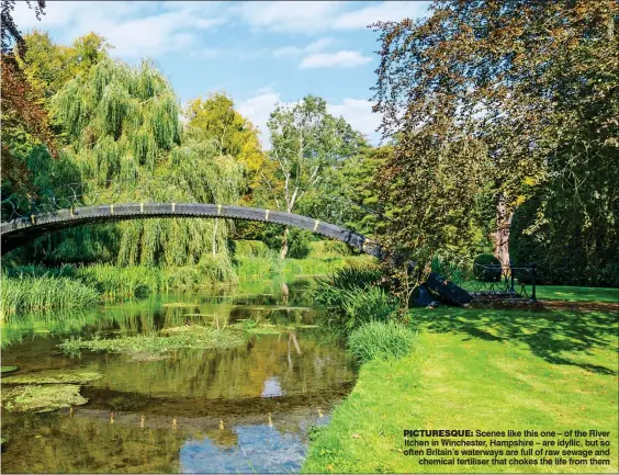  ??  ?? PICTURESQU­E: Scenes like this one – of the River Itchen in Winchester, Hampshire – are idyllic, but so often Britain’s waterways are full of raw sewage and chemical fertiliser that chokes the life from them