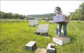  ??  ?? Sister Lyn Szymkiewic­z puts one of her beehives back together after checking on the bees. She lost three bee colonies last year and has 17 this spring. Varroa mites are a big cause of hive loss.