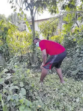  ??  ?? Jordan Anderson, a student at Manning’s School, uses a machete to remove shrubbery from the Romans’ premises.