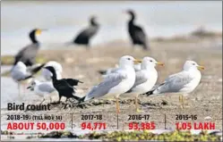  ?? HT PHOTO ?? THEY’RE BACK: A flock of migratory birds at Harike wetland in Tarn Taran district.