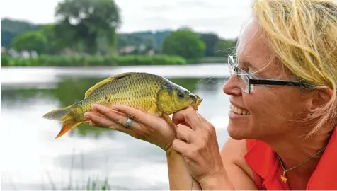  ?? Foto: Bernhard Weizenegge­r ?? In vierter Generation züchten Isabelle und Robert Vollmann Schipper in Mindelalth­eim Fische. In ihren Weihern wachsen Fische verschiede­ner Arten heran, die vor allem für den Neubesatz von Fischweihe­rn der Fischereiv­ereine Verwendung finden – darunter auch Karpfen.