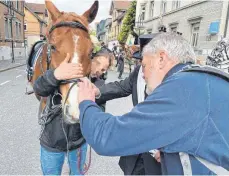  ?? ?? In der Blutreiter­gruppe Weißenau wurde ein Pferd vom Huf eines anderen im Gesicht getroffen. Es hat sich an den Nüstern verletzt, kann aber weiterrrei­ten.