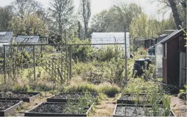  ??  ?? Frames, sheds, greenhouse­s and polytunnel­s can be made from recycled materials for use on the allotment