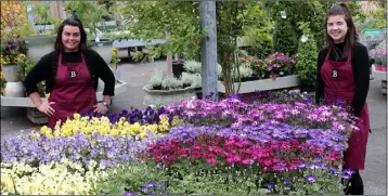  ??  ?? Emma Cleary and Anna Hennessy at Meadows and Byrne_Botanic Garden Centre.