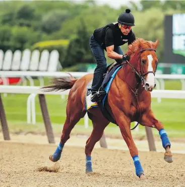  ?? — AP ?? Triple Crown hopeful Justify gallops around the sandy track at Belmont Park on Thursday in preparatio­n for the 150th running of the Belmont Stakes.