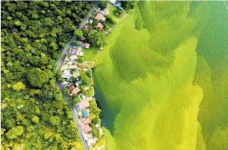  ?? ?? Left: The dying lake, by Daniel Nunez, Guatemala. Winner, Wetlands — The Bigger Picture.