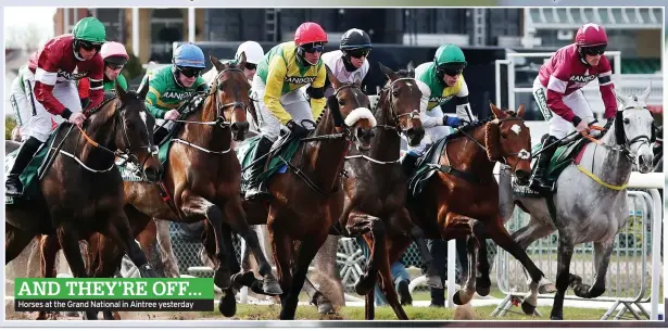  ??  ?? AND THEY’RE OFF... Horses at the Grand National in Aintree yesterday