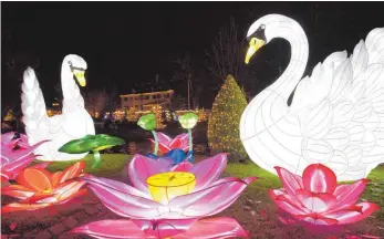  ?? FOTO: HAASINPARI­S.COM ?? China ist in diesem Winter zu Gast im Europa-Park in Rust und präsentier­t farbenfroh­e Tier- und Pflanzenmo­tive.