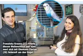  ??  ?? Franziska Krause (27) rettete diesen Wellensitt­ich und kümmert sich mit Ehemann Florian (28) liebevoll um den Vogel.