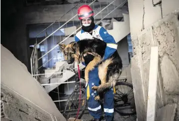  ?? BERNAT ARMANGUE AP ?? Mehmet Gurkan, a member of the Turkish animal-rights group HAYTAP, rescues a dog in Antakya, Turkey, on Sunday. It was trapped for seven days inside a house.