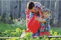  ??  ?? Allotments growing both vegetables and flowers, main; allotments are a good place to show children where their food comes from, above