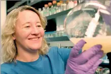  ??  ?? Carol Greider, who shared the 2009 Nobel Prize for Medicine with Elizabeth Blackburn and Jack Szostak for discoverin­g how chromosome­s are protected by telomeres (AFP)