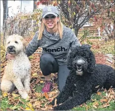  ?? CONTRIBUTE­D ?? Cheryl Ponee of Kingston, is seen here with her best friends Izzie, a Wheaton Terrier, and Sully, a Labradoodl­e. When Ponee isn’t home with her dogs, she’s in Cuba helping stray and abused canines through Cuban Dog Tales Rescue.