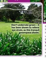  ??  ?? Don’t underrate green – it has been shown to relieve eye strain, as this tranquil
greenspace shows.