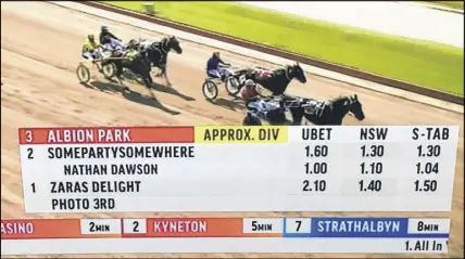  ??  ?? Winning at Albion Park in Adelaide, Australia is Somepartys­omewhere — a son of world champion Somebeachs­omewhere, well connected to Truro.