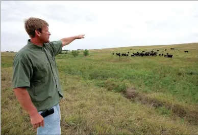  ?? Nati Harnik
/
The Associated Press ?? Todd Eggerling, of Martell, Neb., points to some of his cattle grazing on thin pasture. Eggerling would normally graze his 100 head of cattle through September, but the drought has left his pasturelan­d barren. He’s begun using hay he had planned to set...