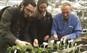  ??  ?? BELOW LEFT Guinan and two of his students tend to plants being grown as part of the Red Thumbs Project