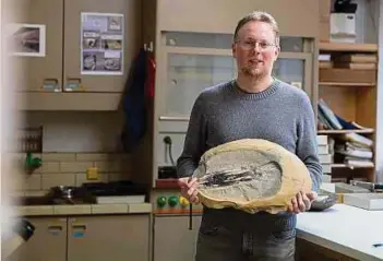  ?? ?? Das Fossil des Vampirtint­enfisches ist ziemlich schwer. Robert Weis kann es zwar ein paar Minuten tragen, aber dann wird es anstrengen­d.