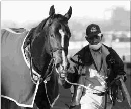  ?? BARBARA D. LIVINGSTON ?? Weyburn won the Gotham and ran fourth in the Wood, but despite having enough points won’t run in the Kentucky Derby.