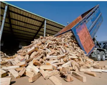  ?? FOTO: JULIAN STRATENSCH­ULTE/DPA ?? Die Nachfrage nach Brennholz ist seit der Energiekri­se stark gestiegen. Das neue Gebäudeene­rgiegesetz stuft Holz aber nicht mehr als „erneuerbar“ein.