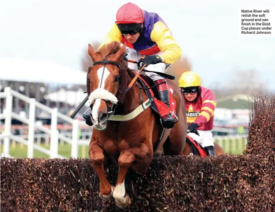  ??  ?? Native River will relish the soft ground and can finish in the Gold Cup places under Richard Johnson