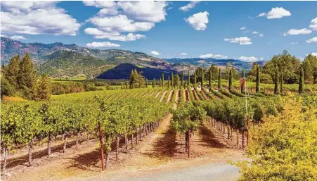  ?? Allard Schager / Getty Images ?? Napa Valley, Calif.’s Mediterran­ean-like climate is ideal for wine and foods like those of Spain, France and Italy.