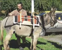  ??  ?? Des ballades familiales avec les ânes de Montferrer