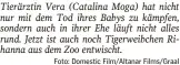  ?? Foto: Domestic Film/Altanar Films/Graal ?? Tierärztin Vera (Catalina Moga) hat nicht nur mit dem Tod ihres Babys zu kämpfen, sondern auch in ihrer Ehe läuft nicht alles rund. Jetzt ist auch noch Tigerweibc­hen Rihanna aus dem Zoo entwischt.