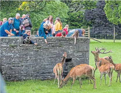  ??  ?? Visitors were able to stroll through the grounds of Blair Castle and feed the deer.