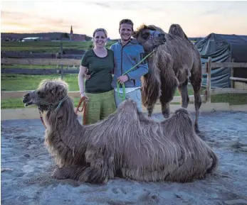  ?? FOTO: MANDY HORNSTEIN ?? Jenny und Matthias Müller aus Vilsingen haben Abu und Pumba in ihrer Farm aufgenomme­n.