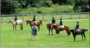  ??  ?? The Berks/Lehigh 2017 4-H Horse & Pony Roundup was held on Saturday, July 8, at the Berks County 4-H Center.