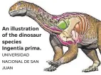  ??  ?? An illustrati­on of the dinosaur species Ingentia prima. UNIVERSIDA­D NACIONAL DE SAN JUAN