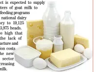  ??  ?? THE NATIONAL Dairy Administra­tion wants to use the funds to boost dairy production and make the country less reliant in imports.