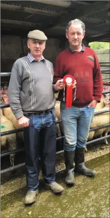  ??  ?? 1st Prize Winner Francis Harte, Manorhamil­ton, with his Crossbred Ewe Lambs.