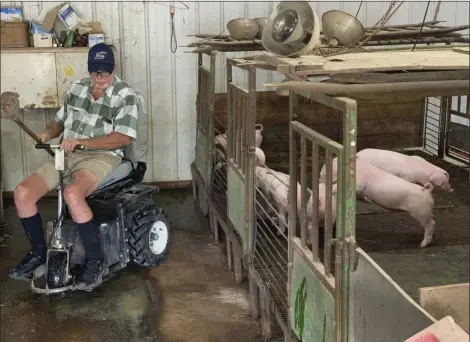  ?? ANDRES SOREGEL — FOR THE ASSOCIATED PRESS ?? Farmer Mark Hosier, 58, rides a scooter as he checks on his pigs on his farm in Alexandria, Ind., earlier this month.