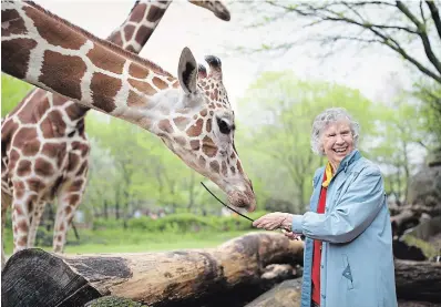  ?? COURTESY ALISON REID ?? Anne Dagg is a giraffe expert and subject of a documentar­y, “The Woman Who Loves Giraffes.”