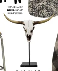  ??  ?? Resin buffalo skull,
$99.99, from Farmers.