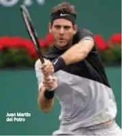  ??  ?? Juan Martin del Potro