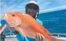  ??  ?? STILL BITING: Despite windy conditions, Dragon Lady Charters still caught a great mixed bag including large mouth nannygai.