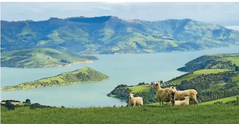  ?? FOTO: CHRISTOPH SATOR/DPA ?? Die Schönheite­n Neuseeland­s locken jährlich viele Touristen in das Land. Viele sitzen dort derzeit aufgrund der Corona-Krise fest.