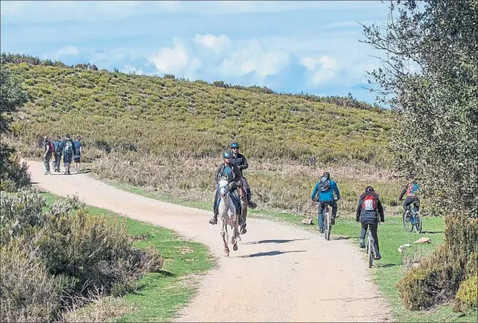  ?? PEDRO CATENA ?? Ciclistas, excursioni­stas y jinetes pasean por un sendero del Pla de la Calma