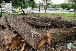  ?? Rivaldo Gomes/folhapress ?? Árvores cortadas em alça de acesso da avenida Ricardo Jafet, na Saúde (zona sul), onde serão instaladas galerias de águas pluviais do projeto dos piscinões