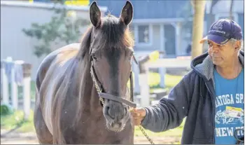  ?? Skip dickstein/ Special to the times union ?? Woodward entrant mongolian Groom walks the shedrow thursday with groom Gerald Clarke at Saratoga race Course. mongolian Groom is 15-1 on the morning line and will be trying to back up his strong effort in the Pacific Classic just 14 days later on Saturday.