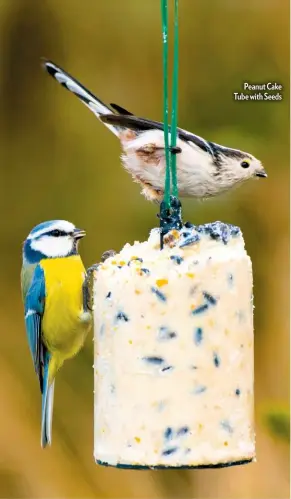  ??  ?? Peanut Cake Tube with Seeds